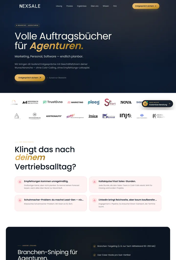 Landingpage für Agenturen auf nexsale-consulting.de